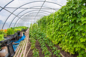 Mehr über den Artikel erfahren Neue Termine am 14.2. und 14.3.26 – Ackerrundgang für Interessierte